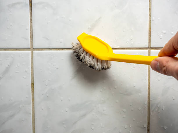 Best Local Mold Removal Service  in Eutaw, AL